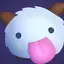 PORO