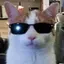 SWAGCAT