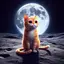 MoonCat