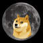 MOONDOGE