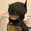 BATCAT