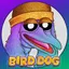 BIRDOG