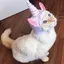 unicat