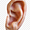 Ear