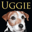 UGGIE