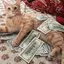 RICH CAT