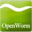 OpenWorm