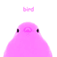 bird