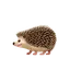 🦔