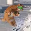 SKICAT