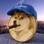 BDOGE