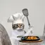 CHEFCAT