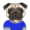 pugme