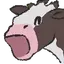 MOOOO