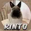 Rinto