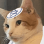 JEWCAT