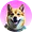 DOGEVERSE