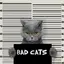 badcat