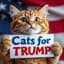 CATSTRUMP