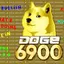 DOGE6900