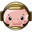 PIG