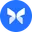 morpho token