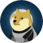 DOGE1