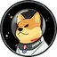 Doge-1