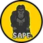 APE