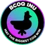 BCOQ