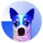 wBaseDOGE