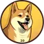 DOGE20