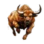 $BULL