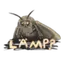 MOTH