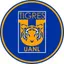 WTIGRES